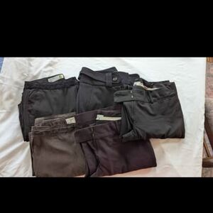 Women's Black, Burgundy, and Brown Dress Pants Collection